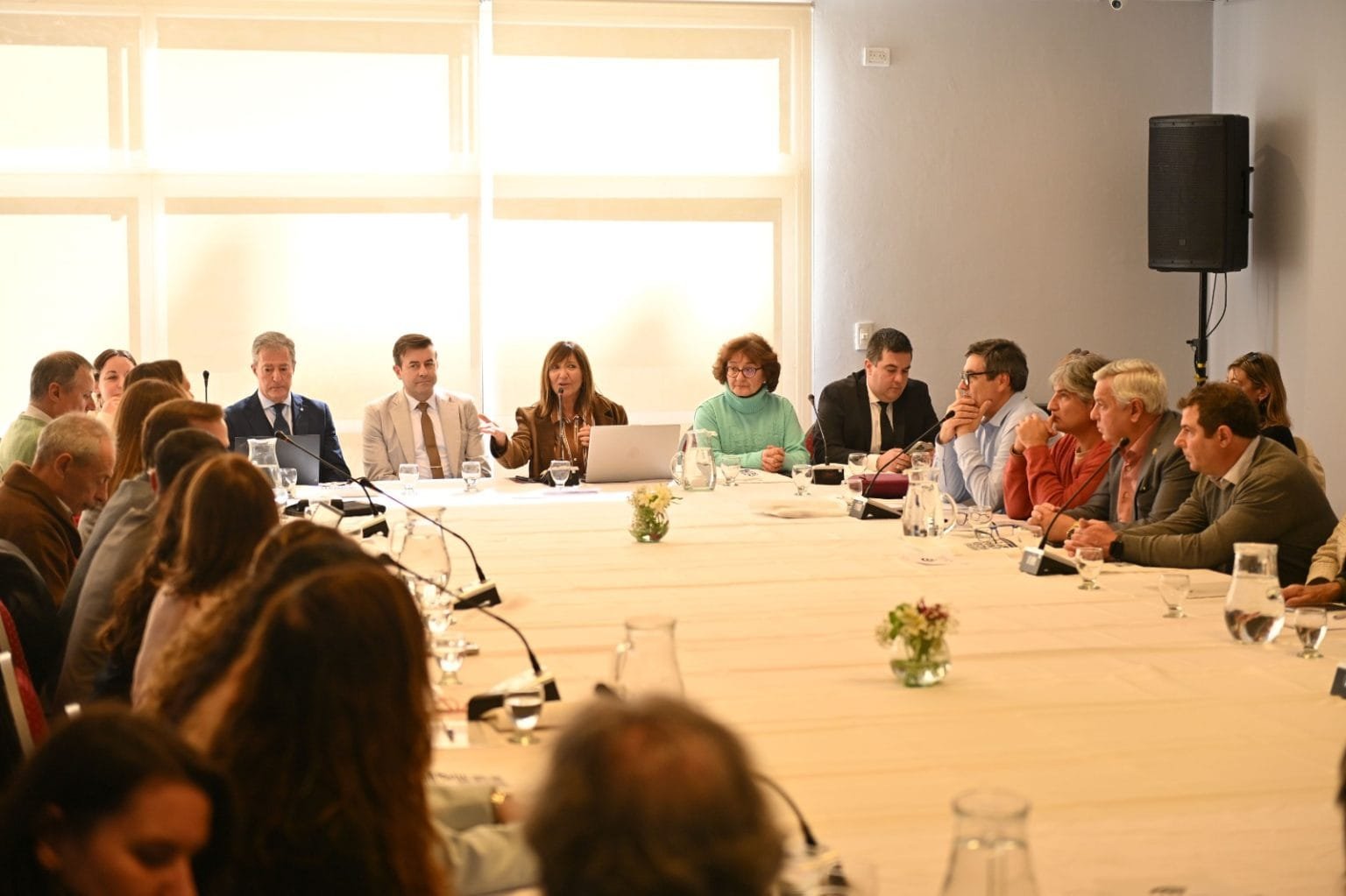 reunión cin mdq 24.8